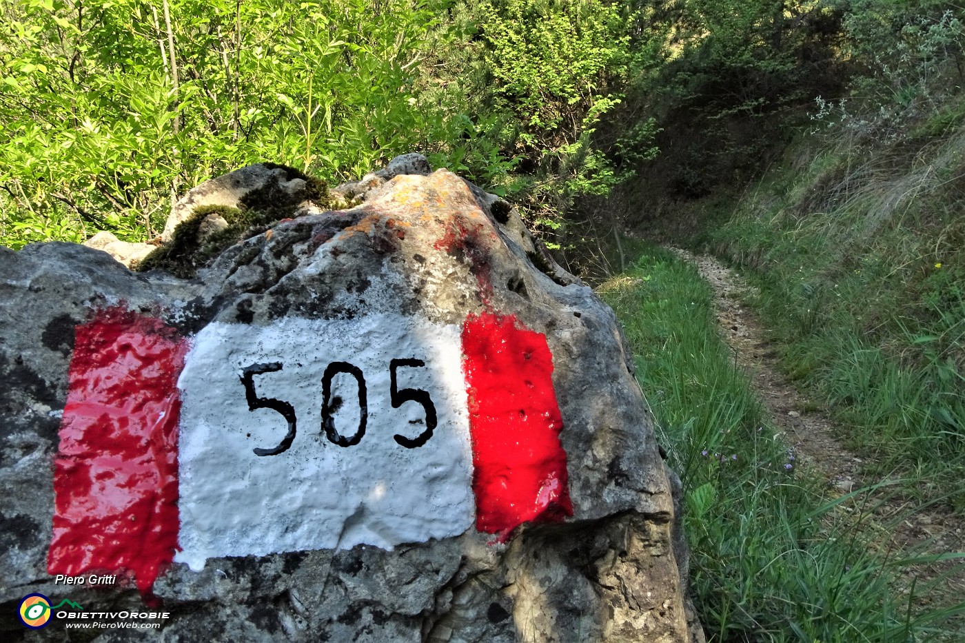 40 Sono sul sent. CAI-Zogno-505.JPG